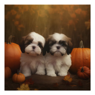 Shih Tzu Welppy Autumn Delight Pumpkin Poster
