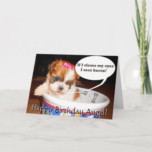 Shih Tzu Welppy Birthday Card Karte (Vorderseite)
