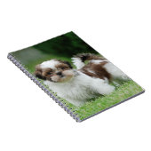 Shih tzu Welppy Notizblock (Rechte Seite)