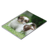 Shih tzu Welppy Notizblock (Linke Seite)