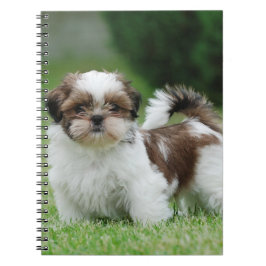 Shih tzu Welppy Notizblock
