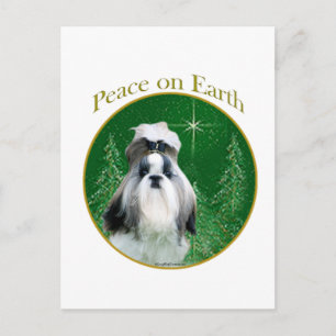 Shih Tzu Weltfrieden Postkarte