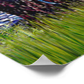 Shih Tzu (Y) - Starry Night Poster (Ecke)