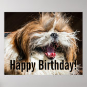 Shih tzu yawning laughing funny Happy birthday  Poster (Vorne)