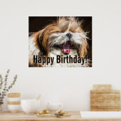 Shih tzu yawning laughing funny Happy birthday  Poster (Küche)
