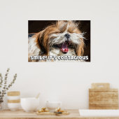 Shih tzu yawning laughing smile text customize poster (Küche)