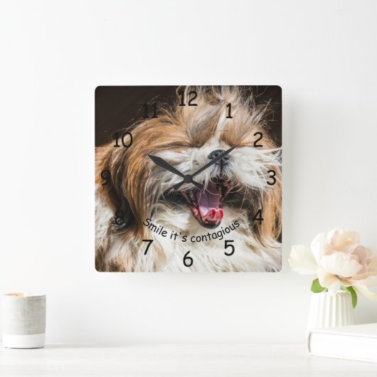 Shih tzu yawning laughing smile text customize quadratische wanduhr (Zuhause)