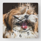 Shih tzu yawning laughing smile text customize quadratische wanduhr (Vorderseite)