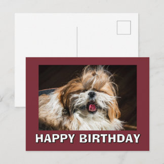 Shih tzu yawning tongue funny cute Happy birthday Postkarte