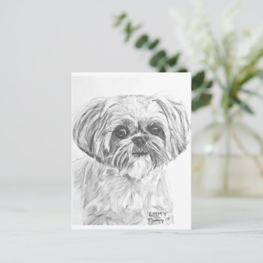 Shih Tzu Zeichnend Postkarte (Stehend Vorderseite)