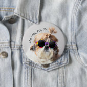 Shih Tzu zu Cool für Sie Sonnenbrillen Foto Button (Beispiel)