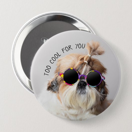 Shih Tzu zu Cool für Sie Sonnenbrillen Foto Button (Vorne & Hinten)