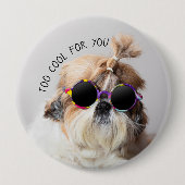 Shih Tzu zu Cool für Sie Sonnenbrillen Foto Button (Vorderseite)