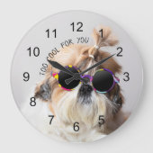 Shih Tzu zu Cool für Sie Sonnenbrillen Foto Große Wanduhr (Vorderseite)