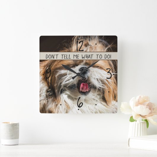 Shih tzu Zunge lustig Erzähl mir nicht, was ich tu Quadratische Wanduhr (Zuhause)