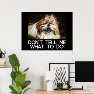 Shih Tzu Zunge lustig Sag mir nicht, was ich tun s Poster