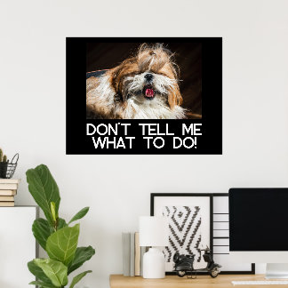 Shih Tzu Zunge lustig Sag mir nicht, was ich tun s Poster