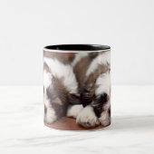 Shih Tzu Zweifarbige Tasse (Mittel)