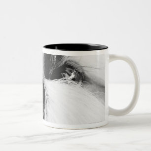 Shih Tzu Zweifarbige Tasse