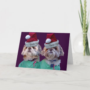 Shih Tzues Shih Two Christmas Greeting Cards Feiertagskarte