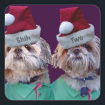 Shih Tzues Shih Two Christmas Sticker<br><div class="desc">Diese beiden bezaubernden schiitischen Zustände finden sich auf T - Shirt,  Grußkarten,  Karten,  Tasche,  Hoodies,  Postkarten,  Postkarten,  Schlüsselanhängern,  Aufklebern,  Magneten,  Ornamenten,  Schürze,  Mousepad,  Plakate,  Krawatte,  Kappen,  Säugling Abrieb,  Einladungen und mehr Geschenke.</div>