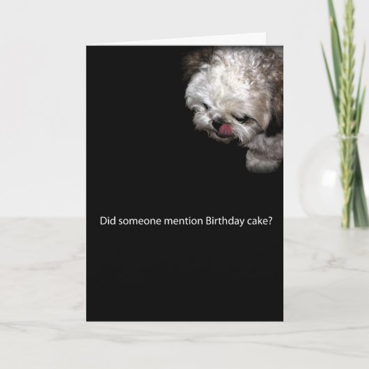 Shih--Tzugeburtstags-Karte Karte (Vorderseite)