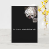 Shih--Tzugeburtstags-Karte Karte (Gelbe Blume)