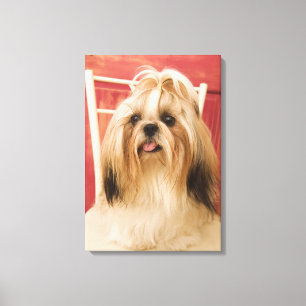 Shih--tzuhund Leinwanddruck