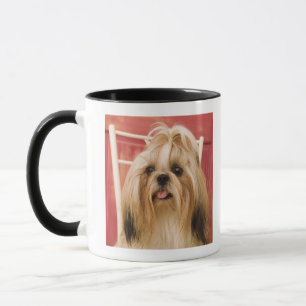 Shih--tzuhund Tasse