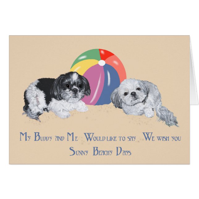 Shih Tzus am Strand (Vorderseite (Horizontal))