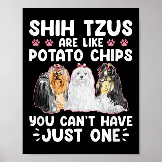 Shih Tzus Are Like Tato Chips You Can't Have Shiht Poster (Vorne)