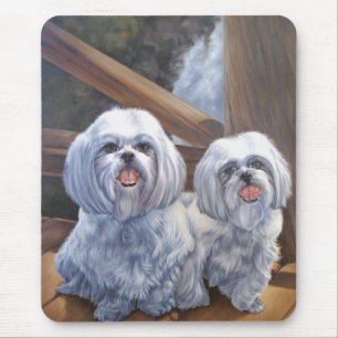 Shih Tzus Mousepad