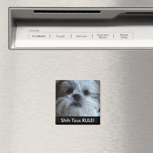 Shih Tzus RULE Kühlschrank Magnet (In Situ (Geschirrspüler))