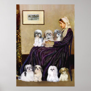Shih Tzus (sieben) - Whistlers Mutter Poster