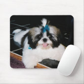Shih--Tzuwelpe Mousepad (Mit Mouse)