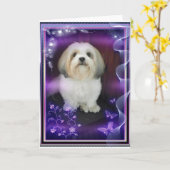 ShihTzu Gruß-Karte Karte (Gelbe Blume)