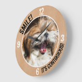 Shihtzu lacht und lächelt, es ist ansteckender, ei große wanduhr (Winkel)