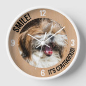 Shihtzu lacht und lächelt, es ist ansteckender, ei uhr (Vorderseite)