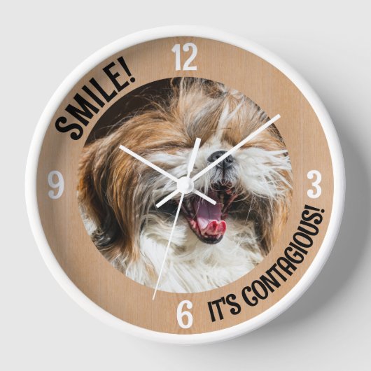 Shihtzu lacht und lächelt, es ist ansteckender, ei uhr (Vorderseite)