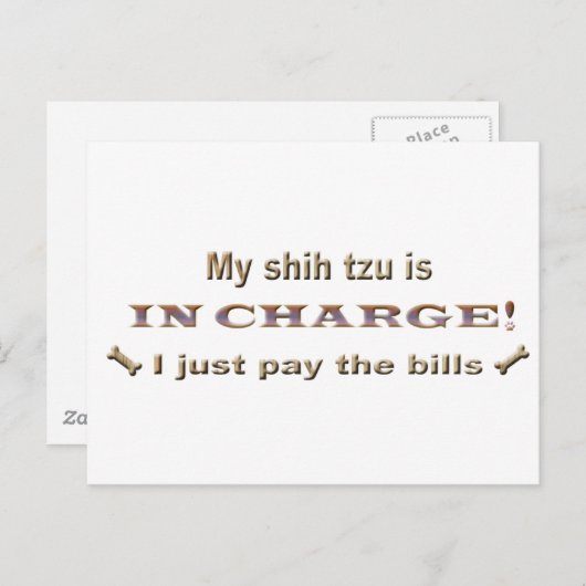 Shihtzu Postkarte (Vorne/Hinten)