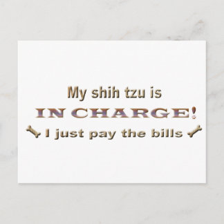 Shihtzu Postkarte