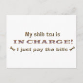 Shihtzu Postkarte (Vorderseite)