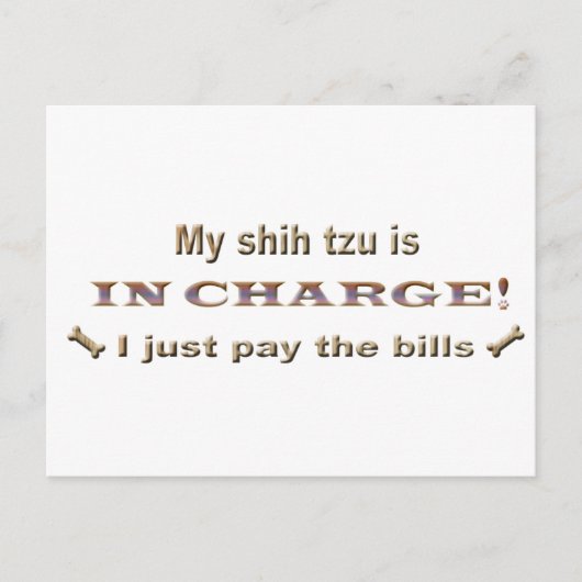 Shihtzu Postkarte (Vorderseite)