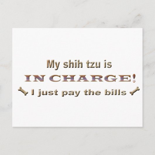 Shihtzu Postkarte (Vorderseite)