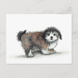 Shihtzu Puppy Dog, Pet Postkarte