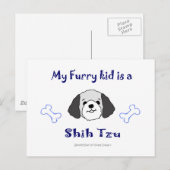 ShihTzuGreyWhite Postkarte (Vorne/Hinten)