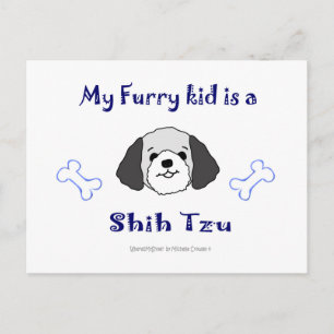 ShihTzuGreyWhite Postkarte