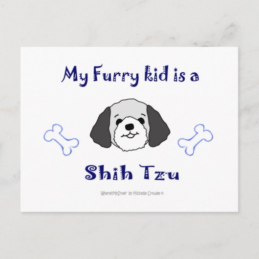 ShihTzuGreyWhite Postkarte (Vorderseite)