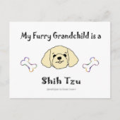 ShihTzuTan Postkarte (Vorderseite)