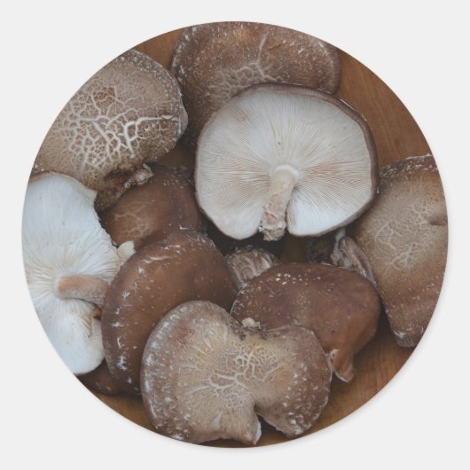 Shiitake Mushroom Stickers (Vorderseite)